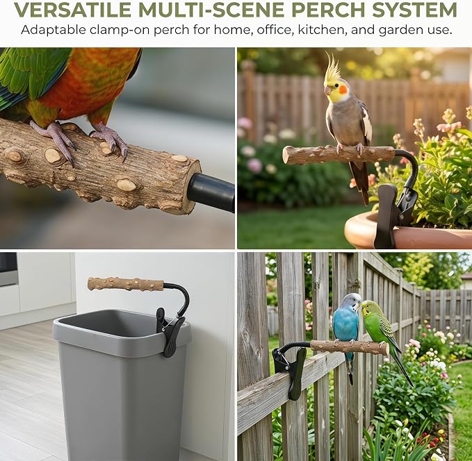 Bird Perch Stand with Clip, Adjustable Clip-On & Portable Parrot Stand, Natural Wood Bird Perch Training Stand for Cockatiels, Conures, Lovebirds and Medium & Small Parrots