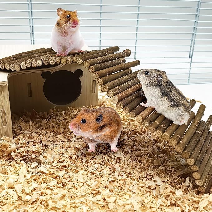 PINVNBY Hamster Suspension Bridge (19.7in and 9.8in) Bendy Natural Wood Bridge Long Climbing Ladder Hamster Cage Accessories for Guinea Pig Dwarf Sugar Glider Rat Mouse