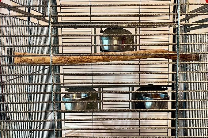 Polly's Full Length Hardwood Cage Perch for Parakeets, Cockatiels, Cockatoos, Macaws, and Other Birds (28")