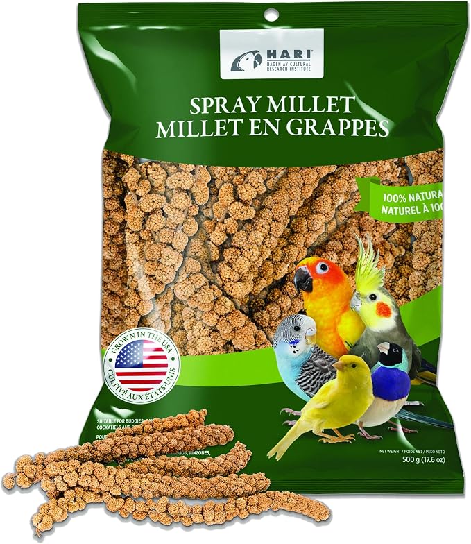 Living World Millet Spray for Birds, 17.6 Oz | Premium Treat for Budgies, Canaries, Finches, Cockatiels and Other Pet Birds