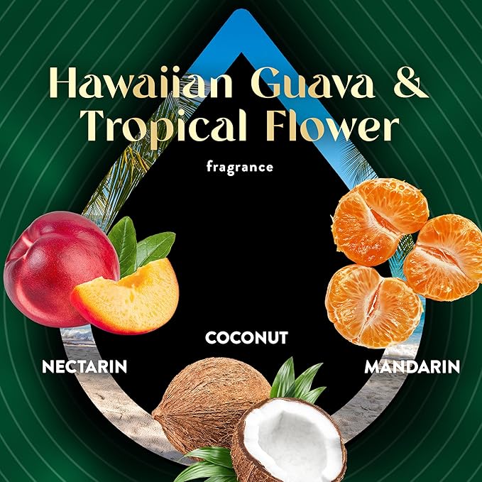 Air Wick Scented Oils 0+5 Hawaiian Guava & Tropical Flower (old Nectarine & Paradise Flower)