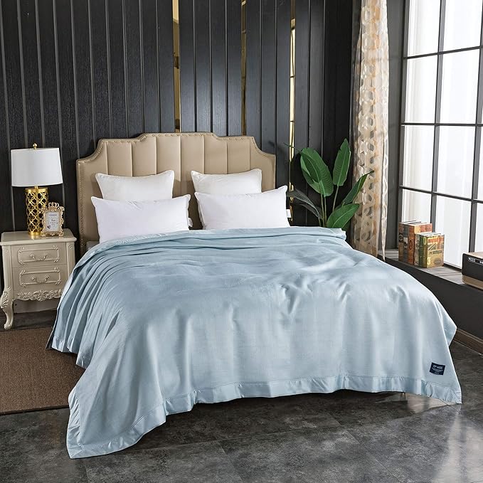 EP Mode Luxury Mulberry Silk Blanket with Silk Charmeuse Border (Baby Blue, King 106" x 88")