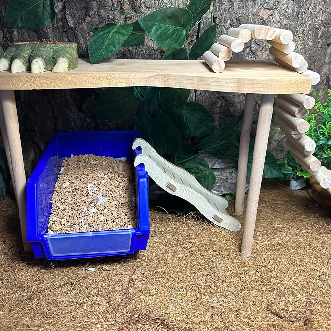 Reptile Digging Box Plastic Leopard Gecko Burrowing Habitat Hide Box with Wooden Ladder Compatible with Terrariums Tailored for Juvenile Bearded Dragons and Snake in Compact Setups (Blue)