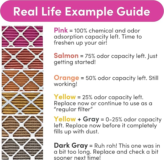 Colorfil 20x20x1 Air Filter (2-Pack) | Made in the USA | Color Changing | Remove Cat and Dog Odor | MERV 8 for Pet Hair Dander and Dust | 19.5"x19.5"x0.75" Exact Size
