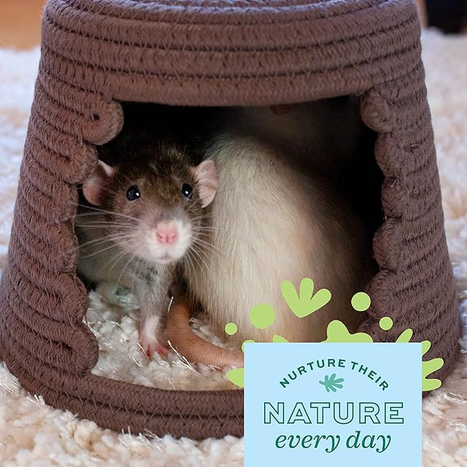Oxbow Enriched Life Cozy Cave, Large, Guinea Pig Hideout, Bunny Hideaway, Rabbit Bed, Polar Fleece Small Animal Hideout for Guinea Pig Cage, Bunny Enrichment, Rat & Chinchilla Habitat Accessory | Small Animal Hideout, Fleece, Snuggle Sack, Guinea Pig H...
