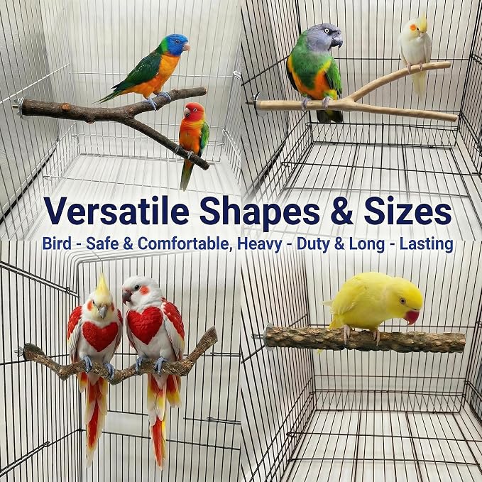 8PCS Bird Perches for Cage, Natural Wood Stands for Small Parrots | Bird Cage Accessories: Natural Wood Perches Set for Cockatiels, Conures, Lovebirds, Budgies. Easy Install, Safe for Chewing