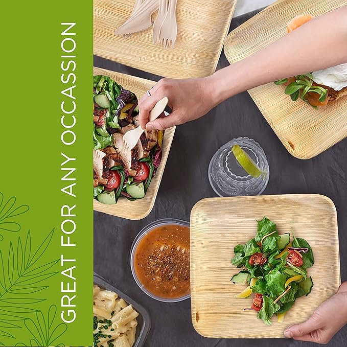 6 Inch 100 Square Palm Leaf Plates – Compostable, Biodegradable, Eco-Friendly – Like Bamboo Disposable Plates for Party, Wedding, Picnic – Sturdy, Heat Proof & Leak Proof