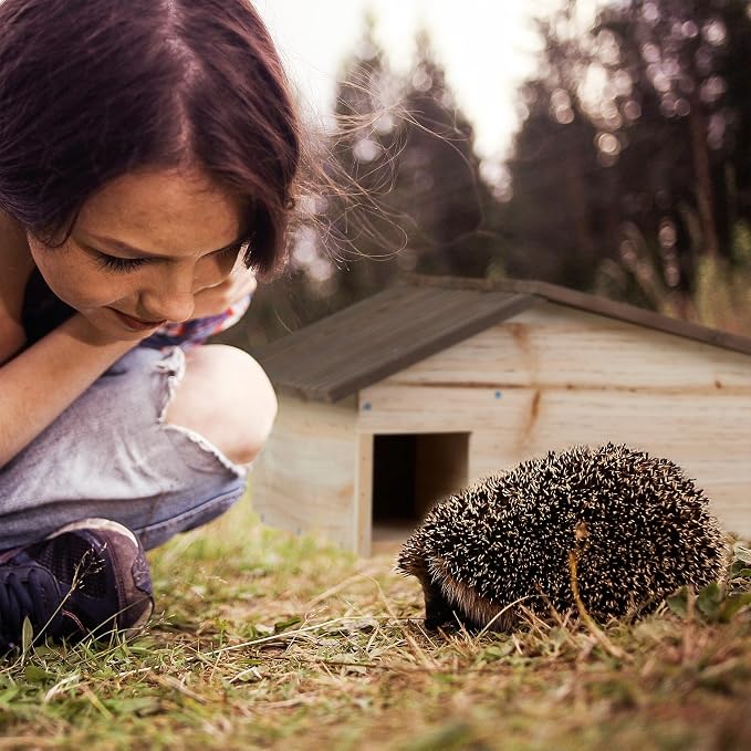 Relaxdays House, Wood, Hotel with Floor, 2 Chambers, Winter Quarters for Hedgehogs, Garden, HBT: 24 x 46 x 33.5 cm, Brown, 95% 5% Iron, 24x46x33,5 cm