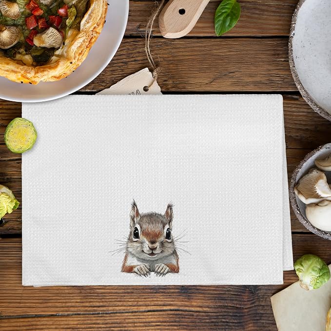 Funny Fall Squirrel Kitchen Towels and Dishcloths Sets of 2, Squirrel Decor Gifts, Woodsy Rustic Cabin Lodge Forest Nursery Home Decor Dish Hand Tea Towels for Bathroom Kitchen, 16x24 Inches