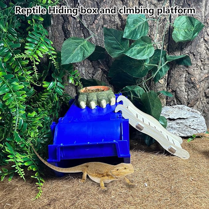 Reptile Digging Box Plastic Leopard Gecko Burrowing Habitat Hide Box with Wooden Ladder Compatible with Terrariums Tailored for Juvenile Bearded Dragons and Snake in Compact Setups (Blue)