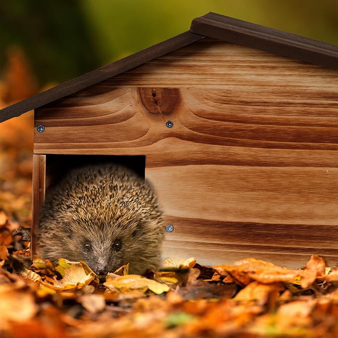 Relaxdays House, Wood, Hotel with Floor, 2 Chambers, Winter Quarters for Hedgehogs, Garden, HBT: 24 x 46 x 33.5 cm, Brown, 95% 5% Iron, 24x46x33,5 cm