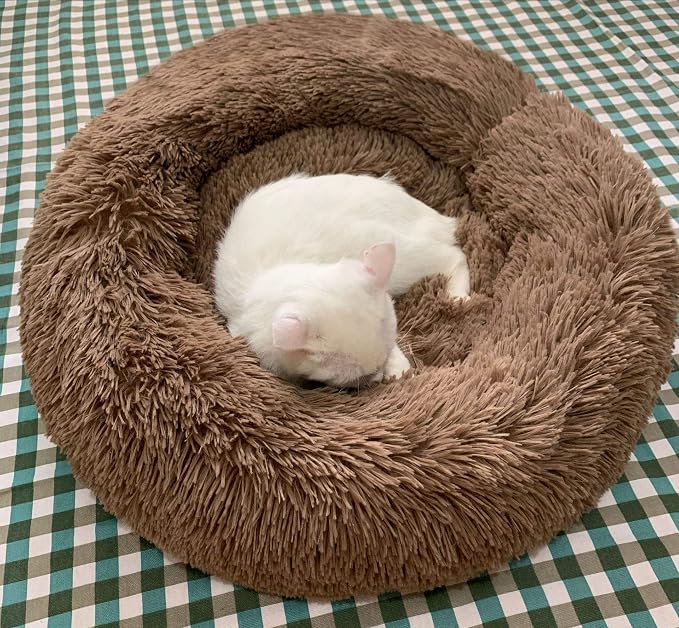 Cat Bed for Indoor Cats,Mini Plush Self Warming Kitten Bed, 20 Inch | Soft Round Fluffy Dog Bed and Cat Nest for Kittens and Small Dogs, Cozy Medium Bed for Indoor and Warm Autumn or Winter Sleep