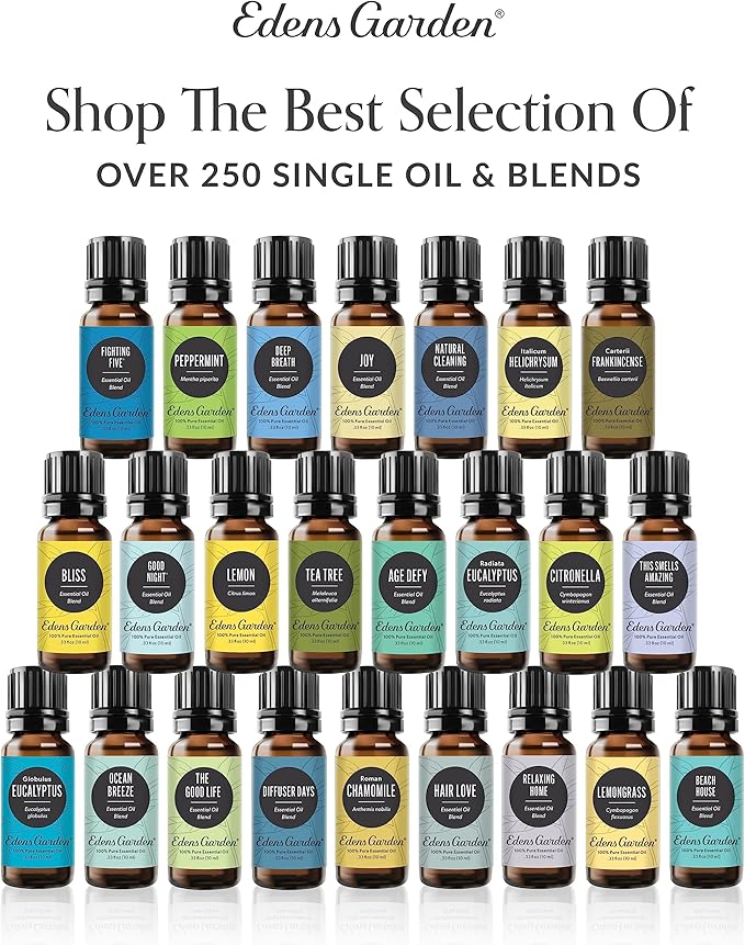 Edens Garden Energy & Focus Essential Oil 3 Set – 100% Pure Therapeutic Grade Aromatherapy Blends Kit For Concentration, Memory & Fatigue – Ideal For Diffuser, Massage, Home & Skin Care, 10 ml/ 3 Pack