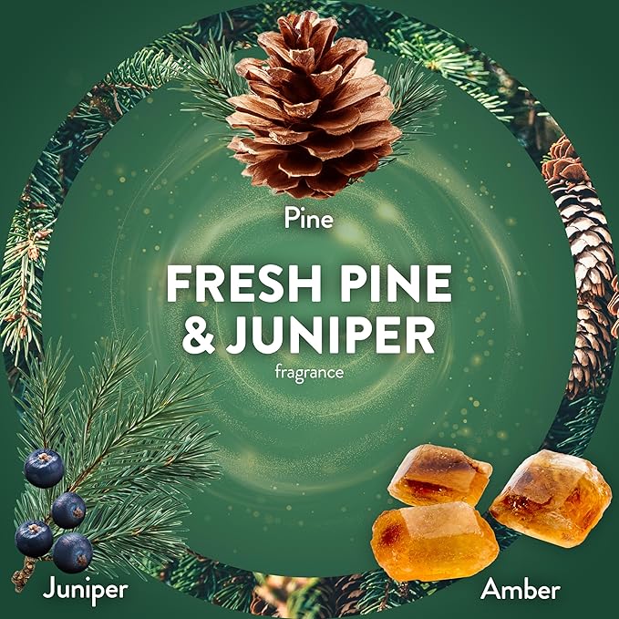 Air Wick Scented Oils 0+5 Fresh Pine & Juniper